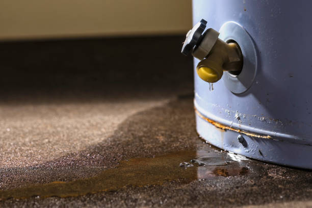 Algonac, MI Water damage restoration Company