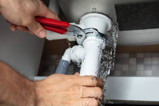 Best Emergency water damage restoration  in Algonac, MI