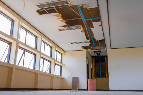 Water damage restoration insurance claims in Algonac, MI