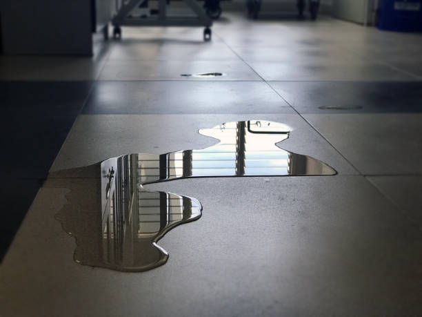 Best 24/7 water damage repair  in Algonac, MI