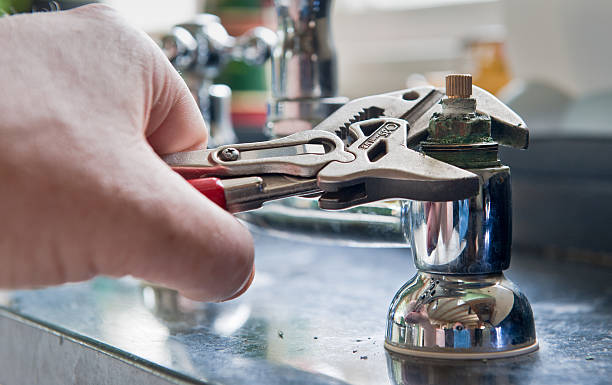 Best Basement water damage restoration  in Algonac, MI