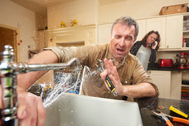 Reliable Algonac, MI Water damage restoration Solutions